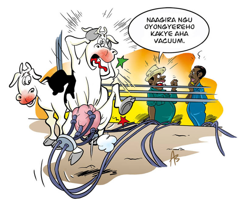 Illustrator onderwijs