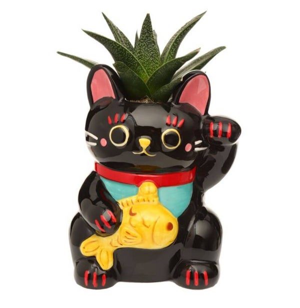 Plantenpot "Gelukskat" Zwart