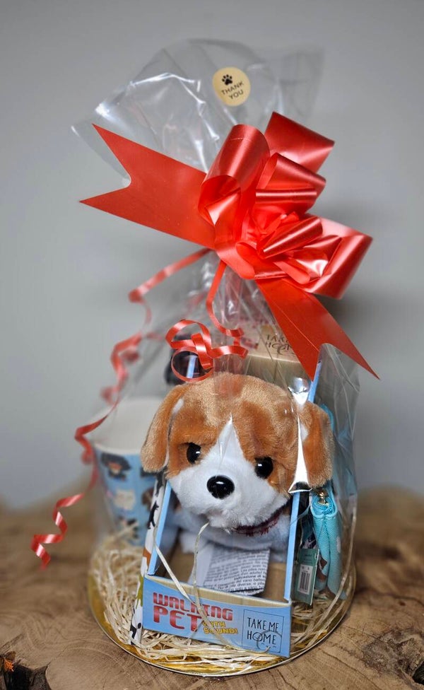 Stazak Groot Hond #10