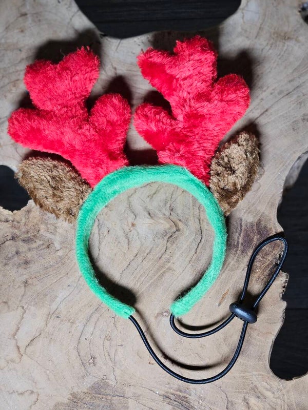 Gewei voor kleine hond of volwassen kat