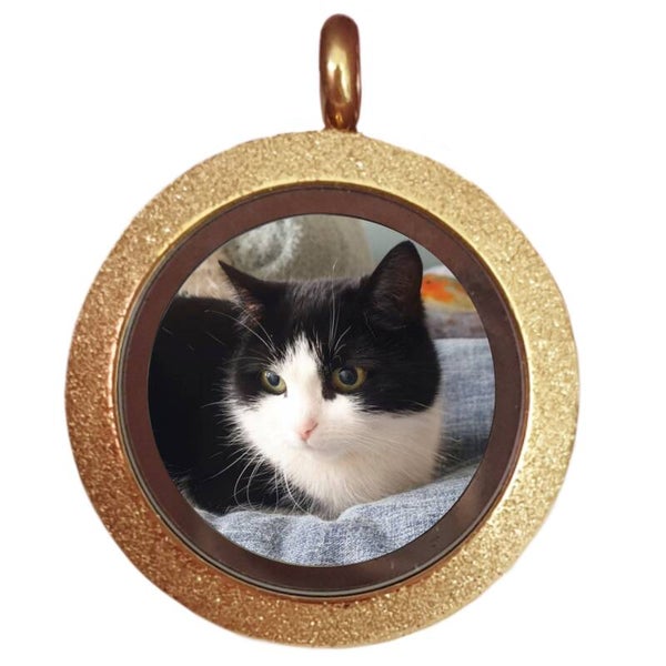 As/ haar/ foto medaillon "Glitter" Goud 25 mm