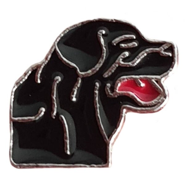 Medaillon bedel "Hondje" 4 Retreiver