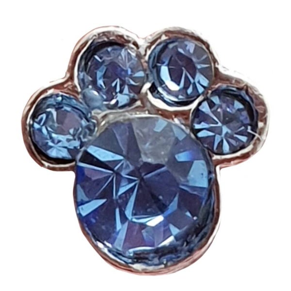 Medaillon bedel "Pootje" Licht blauw