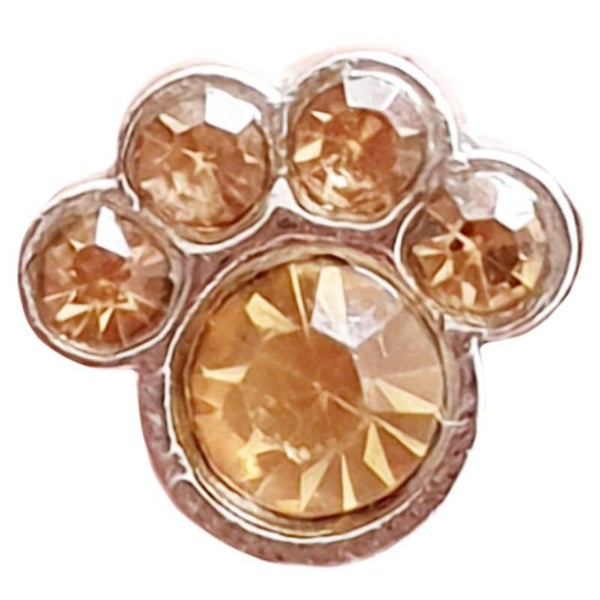 Medaillon bedel "Pootje" Geel