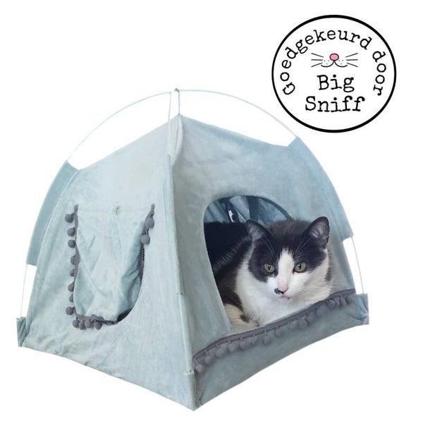 Kattentent mintgroen