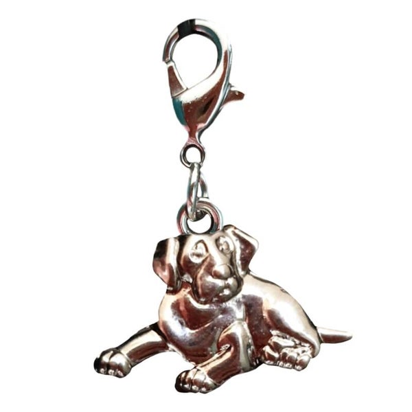 Bedeltje "Labrador zilver"