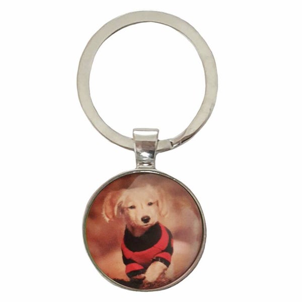 Sleutelhanger kort "Hond truitje"