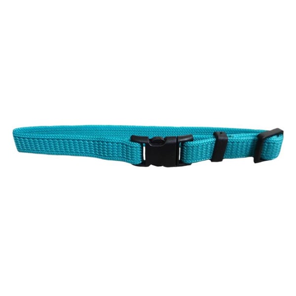 Puppyhalsband 17-25 cm Turquoise