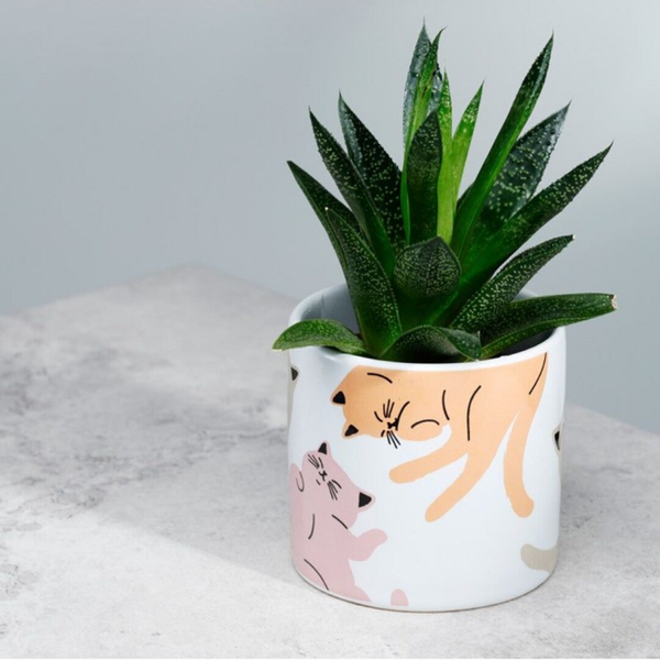 Plantenpot "Cat's life" small