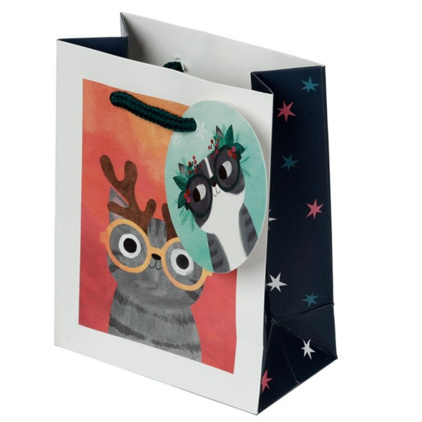 Giftbag "Planeet kat Kerst" Small