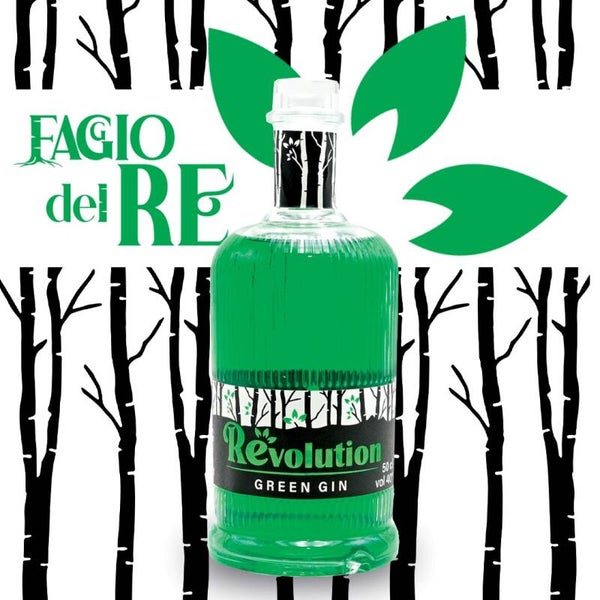 GREEN GIN 500 ML VOL 40%