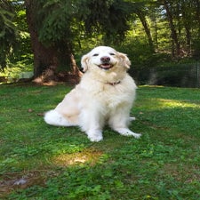 img-20210802-wa0002.jpg