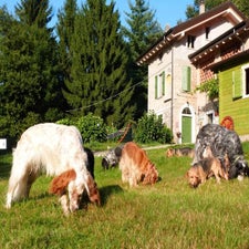 img-20230120-wa0010.jpg