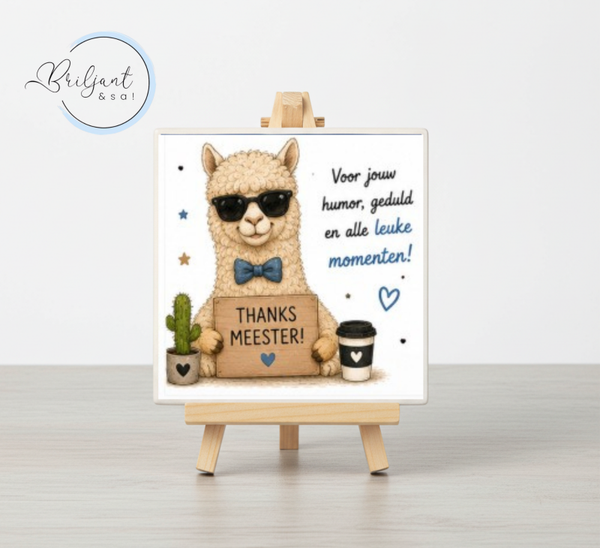 Tegeltje | Bedankt Meester, voor jou geduld en humor!