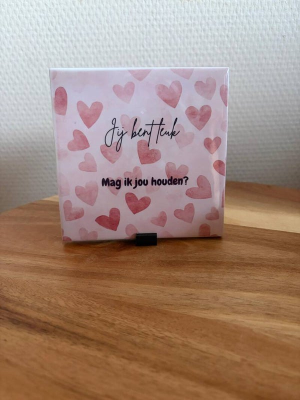 Tegeltje | Jij bent leuk, mag ik jou houden?