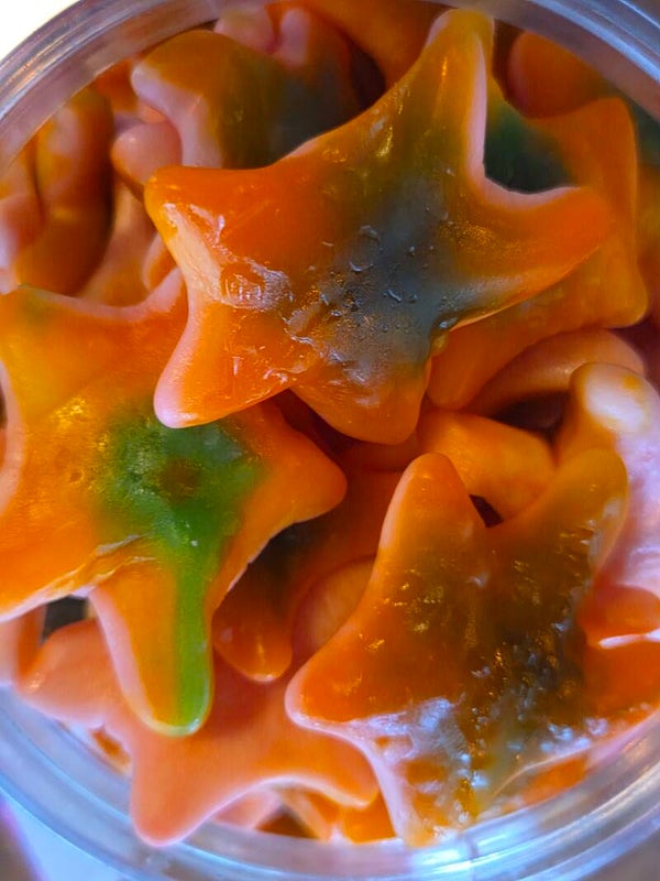 Jelly starfish