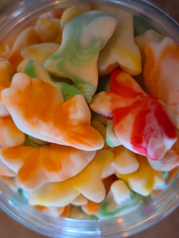 jelly twist visjes----Halal----