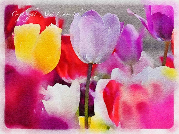 Dutch Tulips ART 3