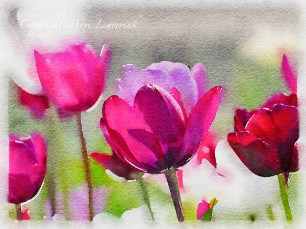 AQUAREL Dutch Tulips 23