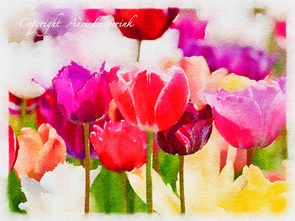 Dutch Tulips ART 29