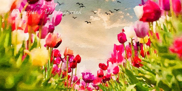 AQUAREL Dutch Tulips 31