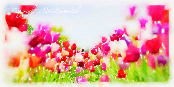 Dutch Tulips ART 50
