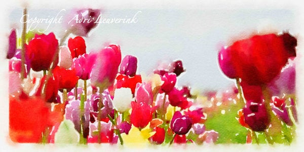 Dutch Tulips ART 63