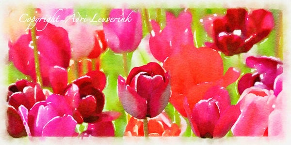 Dutch Tulips ART 66