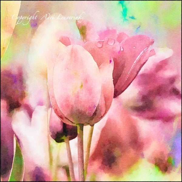 Dutch Tulips ART 77