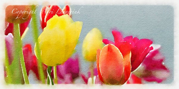 AQUAREL Dutch Tulips 36