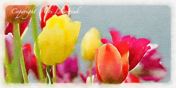 Dutch Tulips ART 80