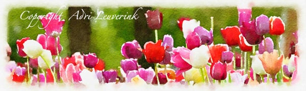Dutch Tulips ART 81