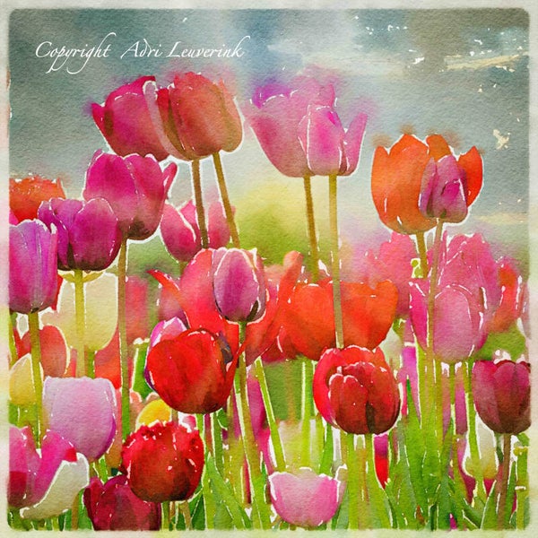 Dutch Tulips ART 83