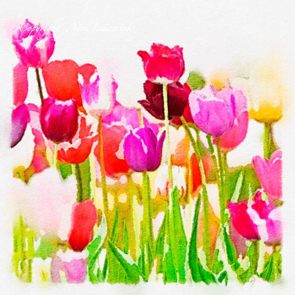 Dutch Tulips ART 87