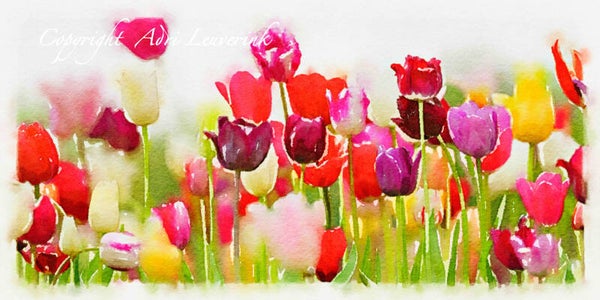 Dutch Tulips ART 89