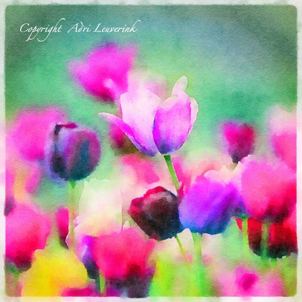 Dutch Tulips ART 96