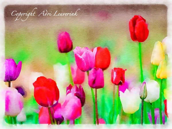 Dutch Tulips ART 102