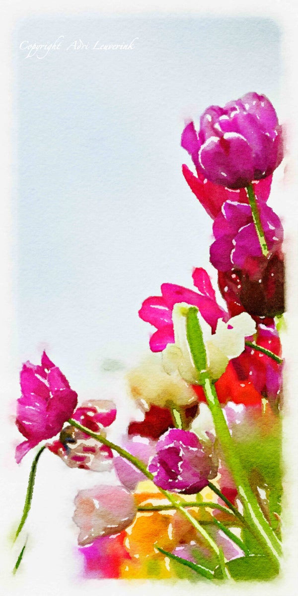 Dutch Tulips ART 104