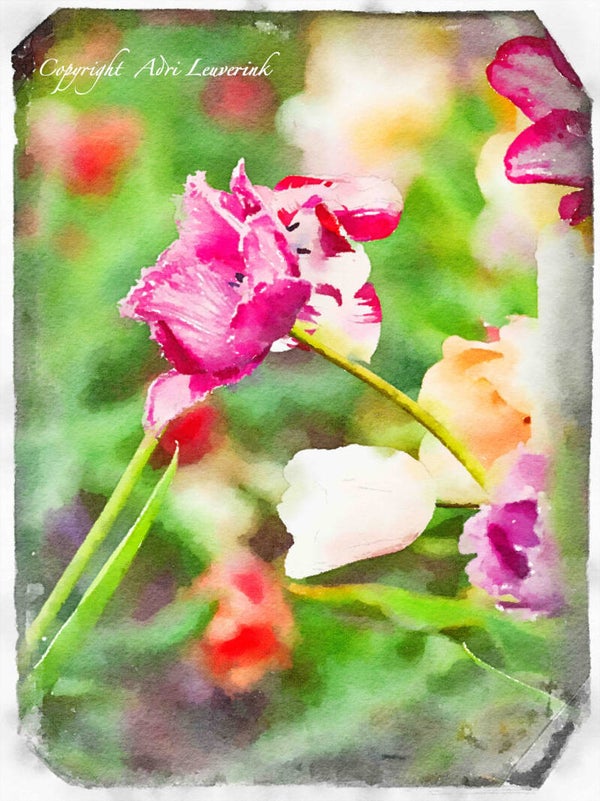 Dutch Tulips ART 106