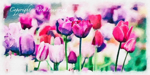 Dutch Tulips ART 108