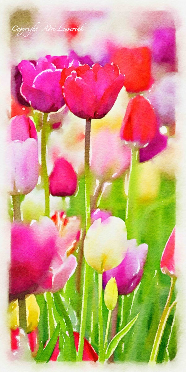 Dutch Tulips ART 109