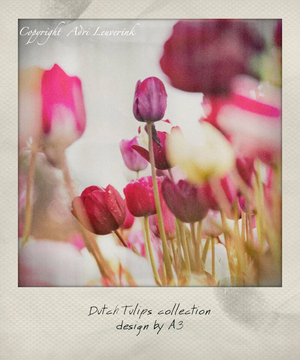 Polaroid Imageblocks 35