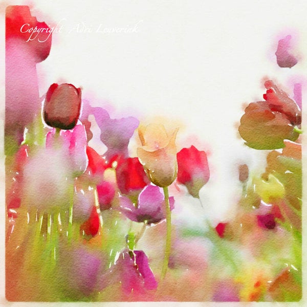 Dutch Tulips ART 110