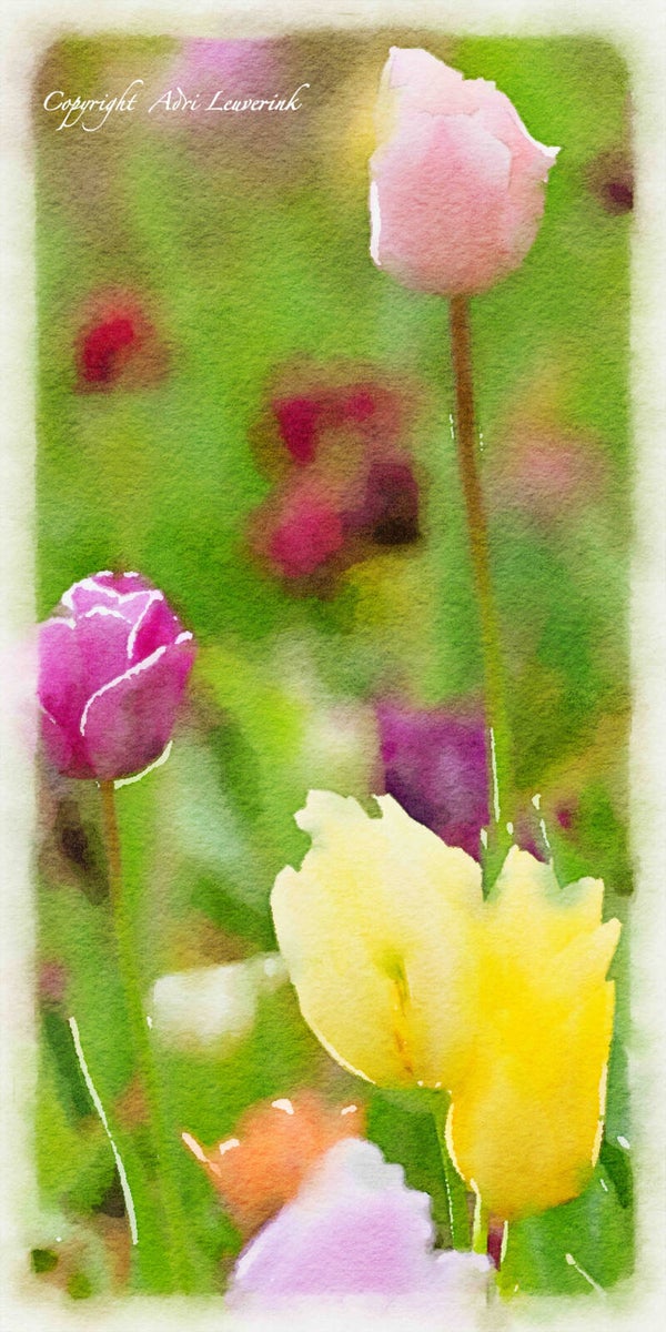 Dutch Tulips ART 115