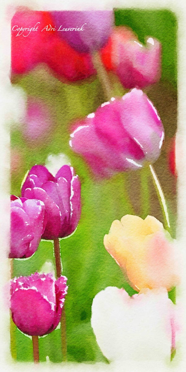Dutch Tulips ART 118