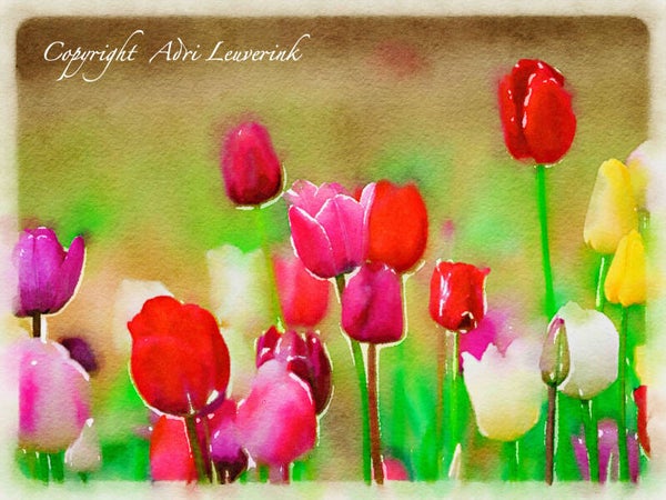 Dutch Tulips ART 40