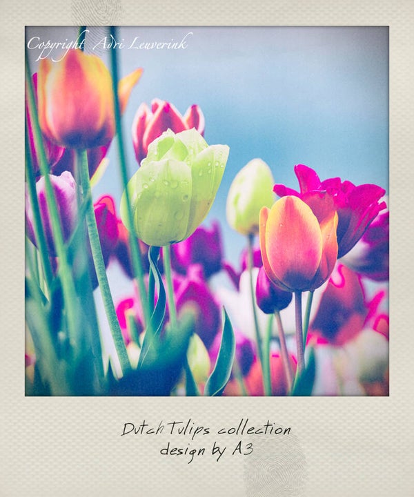 Polaroid Imageblocks 38