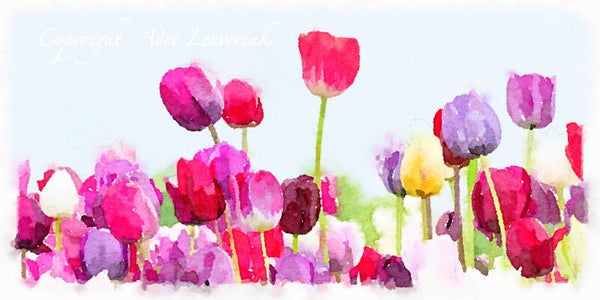 Dutch Tulips ART 125