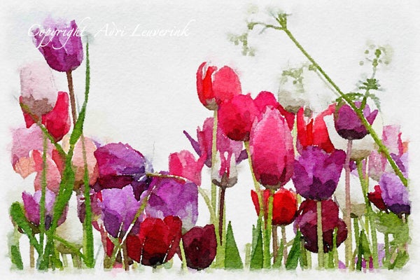Dutch Tulips ART 126