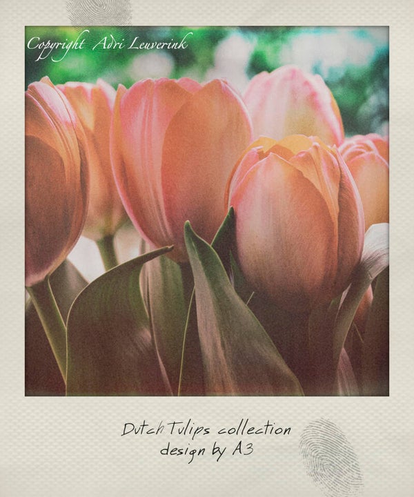 Polaroid Imageblocks 45